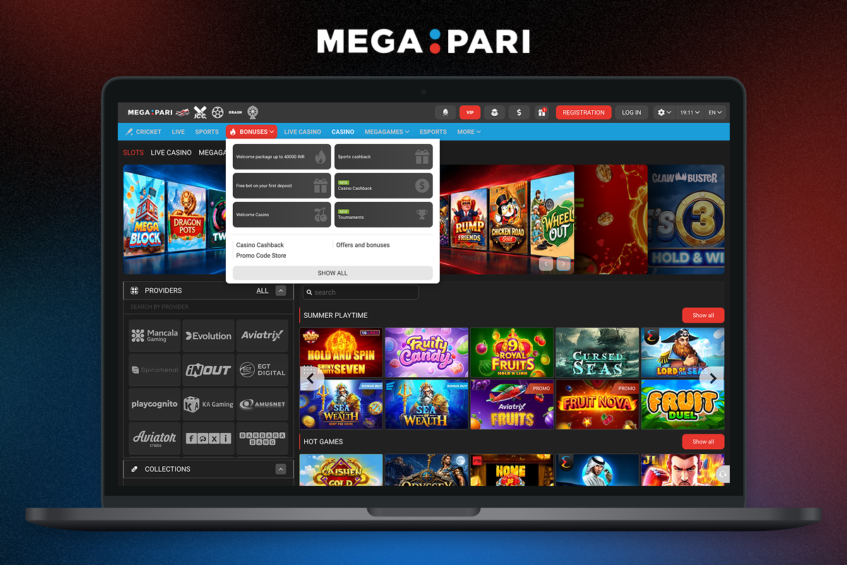 About Megapari India